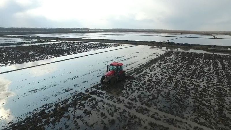 LY1104-C Driverless Tractor in Operation