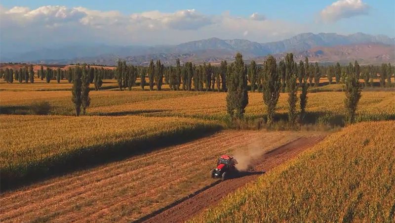 Immersive Video of Tractor